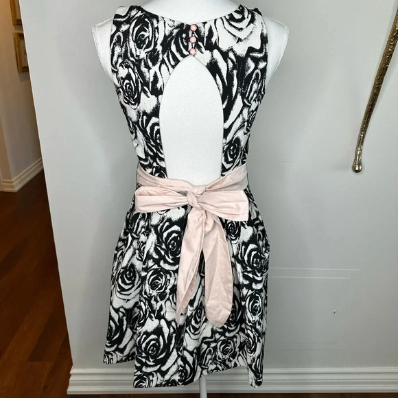 BSB Cotton Rose Dress with Pink Waistband Sz. 8 - Picture 3 of 7
